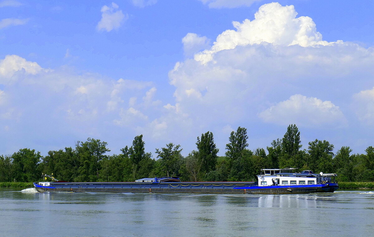 GMS Mondial, Heckansicht, rheinaufwärts vor Breisach, Juni 2024