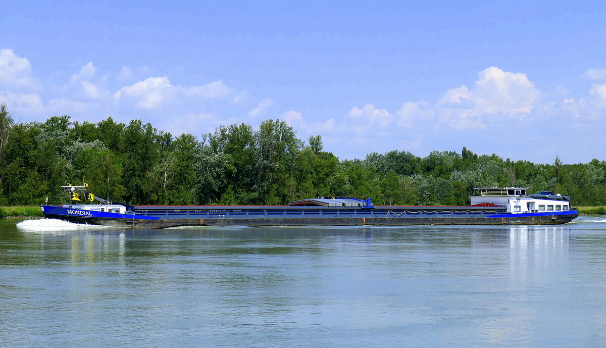 GMS Mondial, rheinaufwärts vor Breisach, L=90m, Tonnage 1850t, 1200PS, Baujahr 1982, fährt unter Niederländischer Flagge, Juni 2024