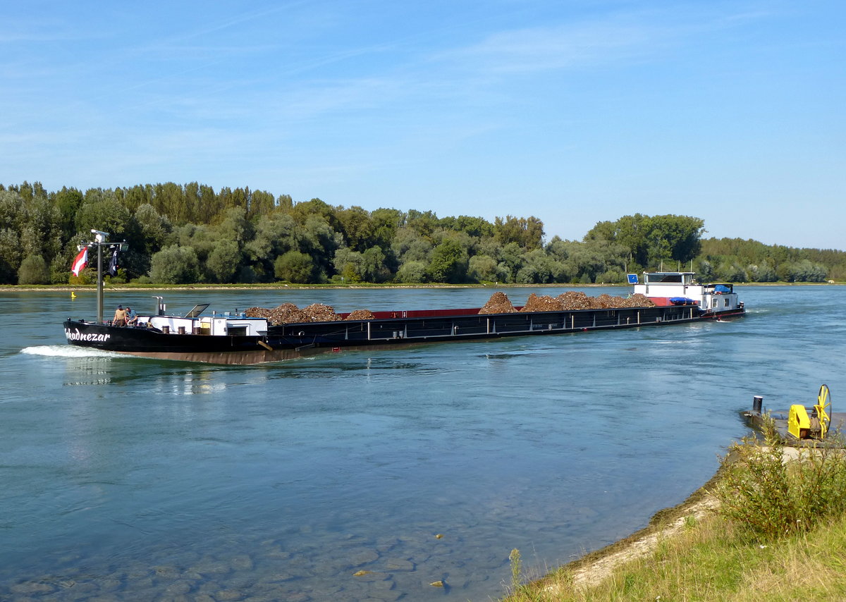 GMS  Nebokadnezar , rheinaufwärts bei Karlsruhe, L=85m, 1437t, 800PS, Baujahr 1965, unter Deutscher Flagge, Sept.2017