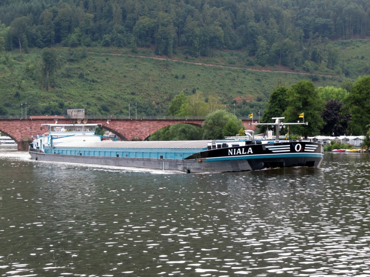 GMS Niala (02329698 , 110 x 11,45m) am 29.07.2013 bei Miltenberg auf dem Main zu Berg.