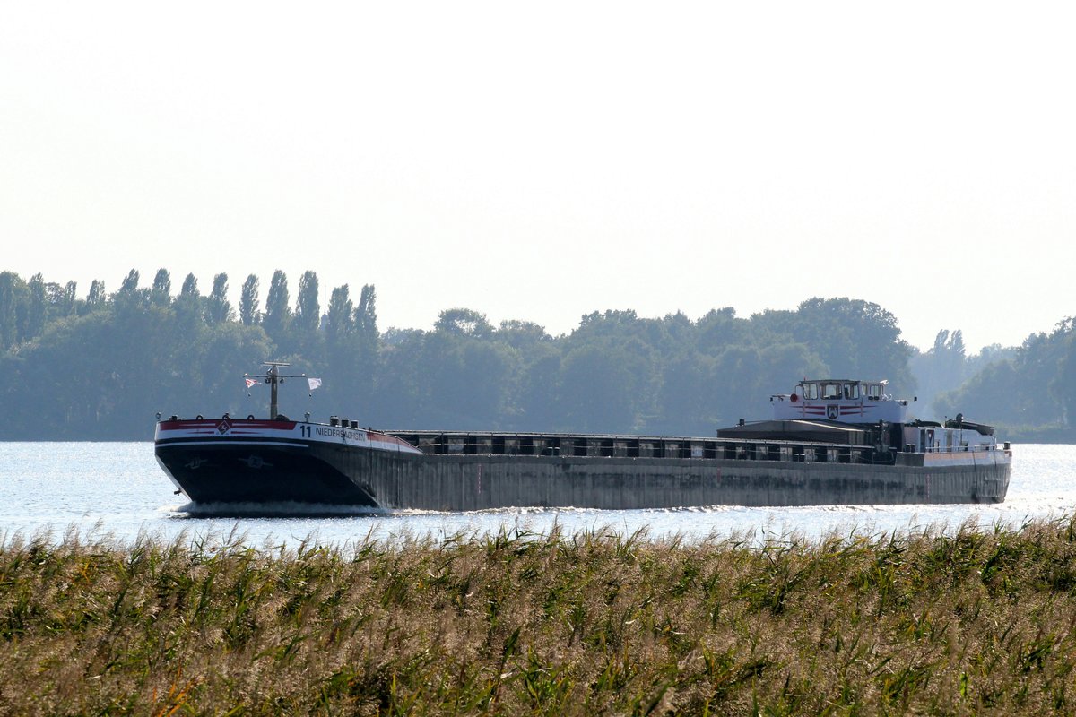 GMS Niedersachsen 11 , 04002190 , 85 x 9m , am 13.09.2016 auf der Havel zw. Schloßpark Sacrow und Volkspark Glienicke auf Bergfahrt.