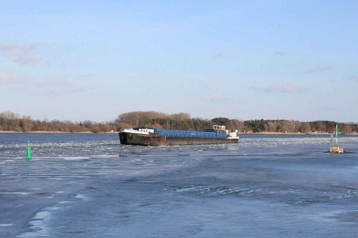 GMS  OHRE  am 19.02.2021 im  PLAUER SEE  am Übergang von der  Unteren Havel-Wasserstrasse zum Elbe-Havel-Kanal auf Talfahrt.