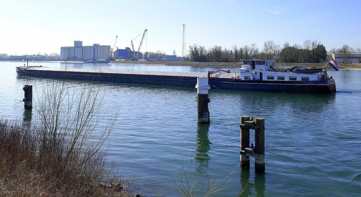 GMS Opus, rheinaufwärts, im Hintergrund der Hafen Neubreisach (Neuf-Brisach), März 2025