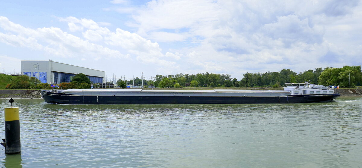 GMS Orchidee, ENI 02318860, rheinaufwärts vor der Staustufe Vogelgrün/Elsaß, Aug.2025