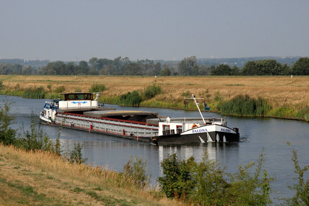 GMS Paloma (04004390 , 85 x 9,13m) am 23.08.2018 im Elbe-Seitenkanal zw. Artlenburg und Scharnebeck auf Bergfahrt.