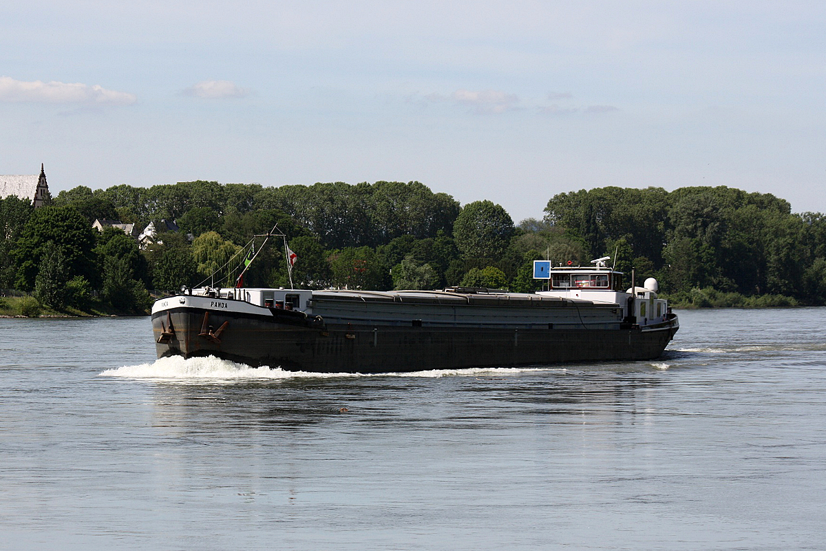 GMS Panda (ENI:02315011) L.70m B.7,10m To.822 Baujahr:1955 am 01.06.2019 auf dem Rhein zu Berg bei Koblenz.