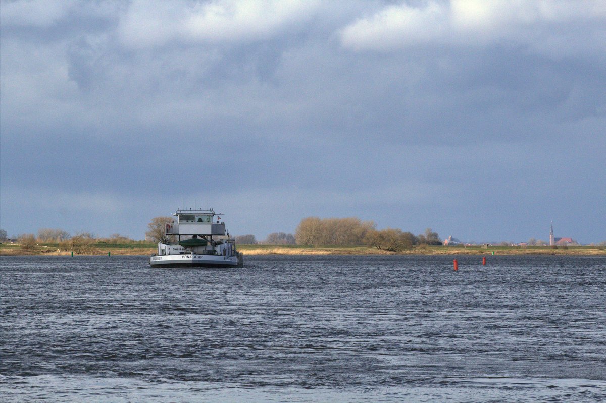 GMS Pankgraf (04012520 , 85 x 8,95m) am 13.03.2020 zw. Ferchland und Schelldorf auf Elbe-Talfahrt.