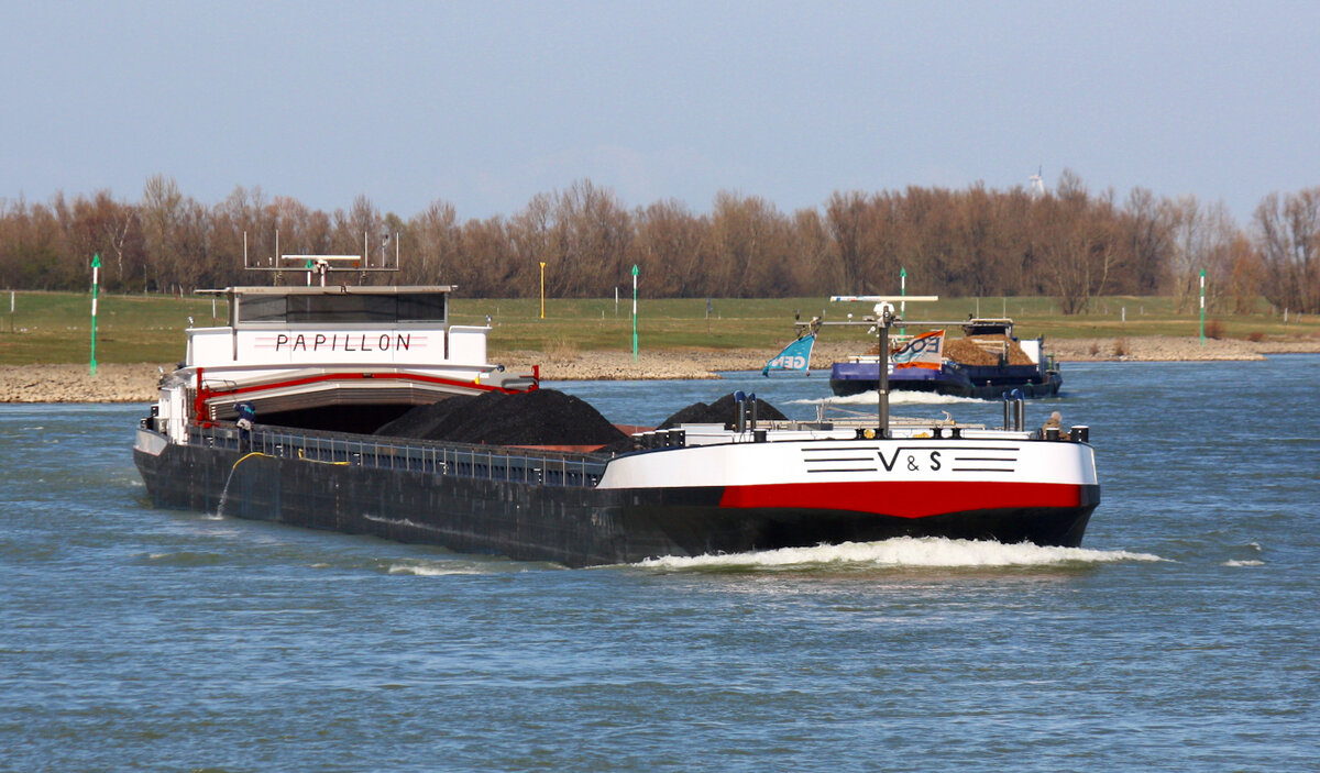 GMS PAPILLON (ENI:02332449) L.135 m B.11,45 T 4115 Flagge Niederlande auf dem Rhein am 18.03.2022 in Xanten zu Berg.