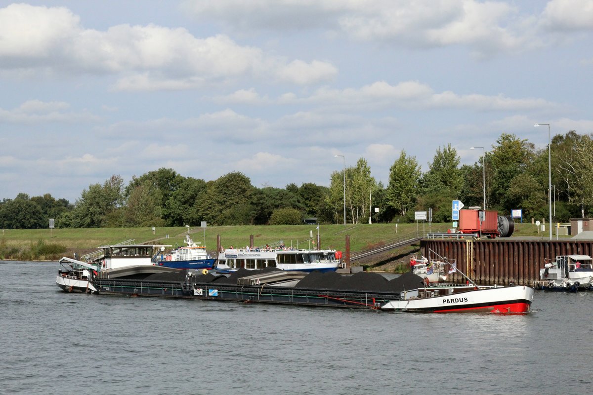 GMS PARDUS (04019360 , 75 x 9,5m) am 25.09.2020 im Elbe-Seitenkanal zu Berg vor dem Schiffshebewerk Scharnebeck.