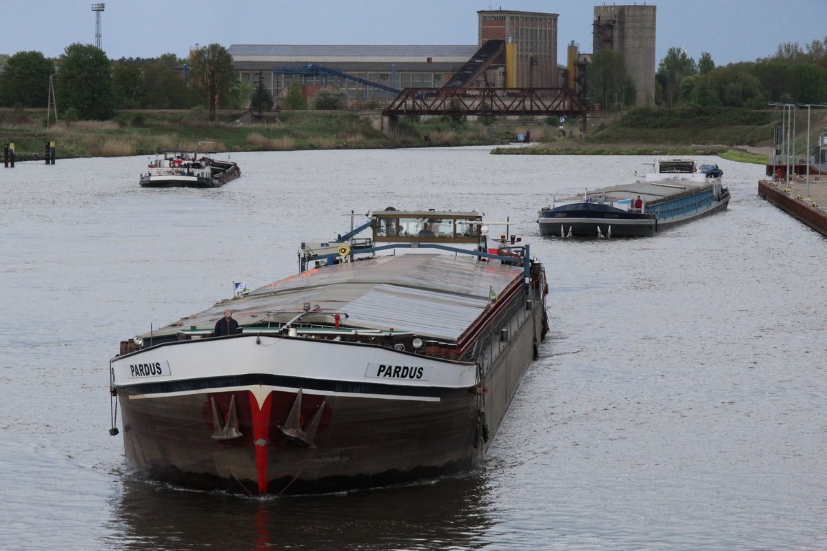 GMS Pardus (04019360) am 26.04.2018 bei der Einfahrt zur Bergschleusung in der neuen Schleusenkammer Zerben / Elbe-Havelkanal. Dahinter das GMS Europa (04400500).