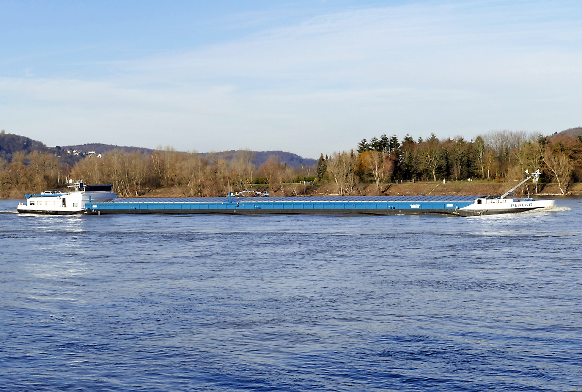 GMS PEALKO auf dem Rhein bei Remagen - 19.01.2019