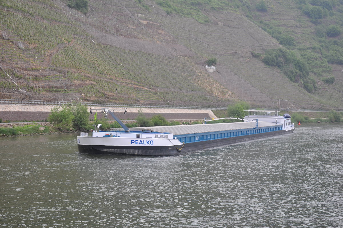 GMS Pealko aufgenommen 02.05.2014 an der Mosel in Valwig bei Cochem