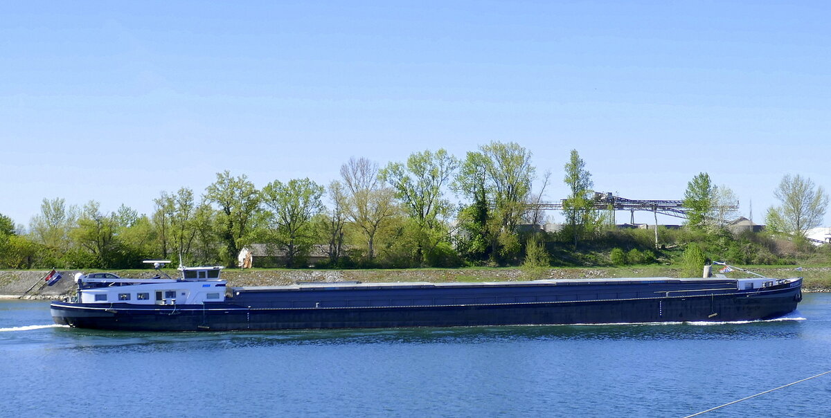 GMS PELGRIM ENI 02313923, rheinabw�rts nach Breisach, April 2026