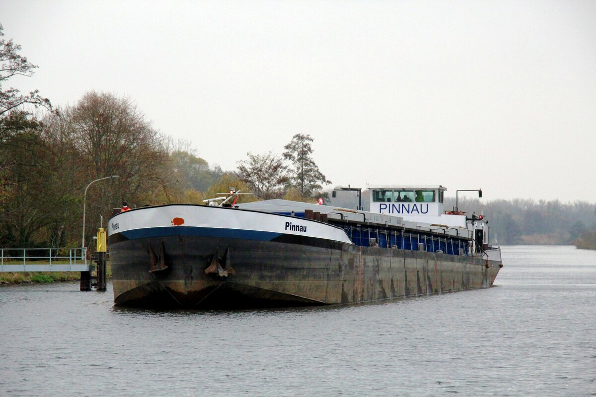 GMS  PINNAU  (04502660 , 86 x 10,50m) am 15.11.2021 vor der Schleuse Brandenburg /  HAVEL  zu Tal. Das GMS kam aus Berlin.