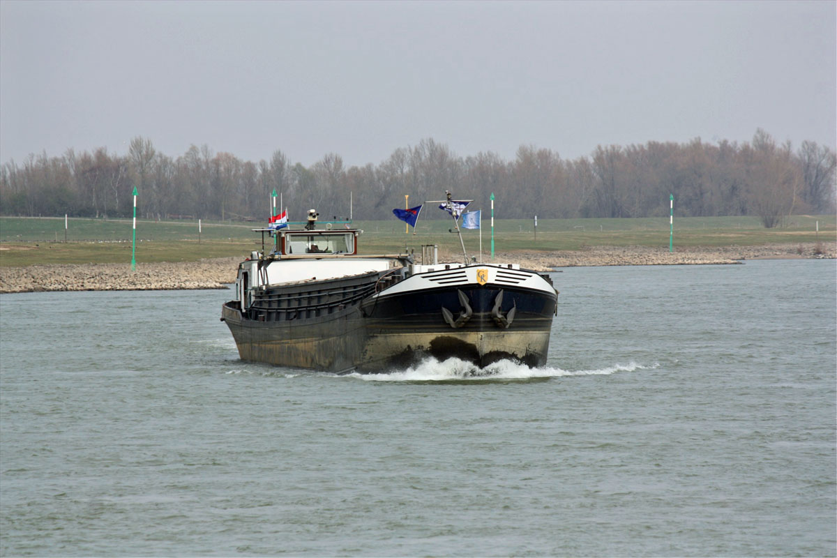 GMS PROVOLARE (ENI:02314859) L.67,17 m B.7,20 m T 837 Baujahr 1961 Flagge Niederland auf dem Rhein am 20.03.2022 zu Berg in Xanten.