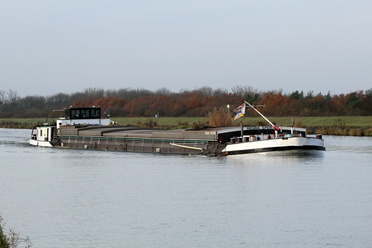 GMS Regina Sperling (04010050 , 77 x 8,20m) am 24.11.2016 Höhe Barleber See I auf dem Mittellandkanal Richtung Trogbrücke / Schleuse Hohenwarthe in Fahrt.