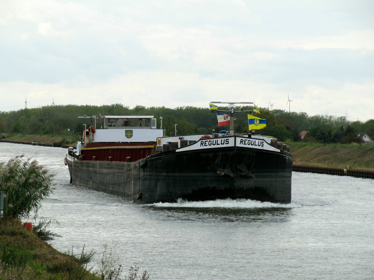 GMS Regulus (04600070 , 80 x 9,5m) am 09.10.2019 im Mittellandkanal (MLK) zw. Haldensleben und MD-Rothensee auf Bergfahrt.