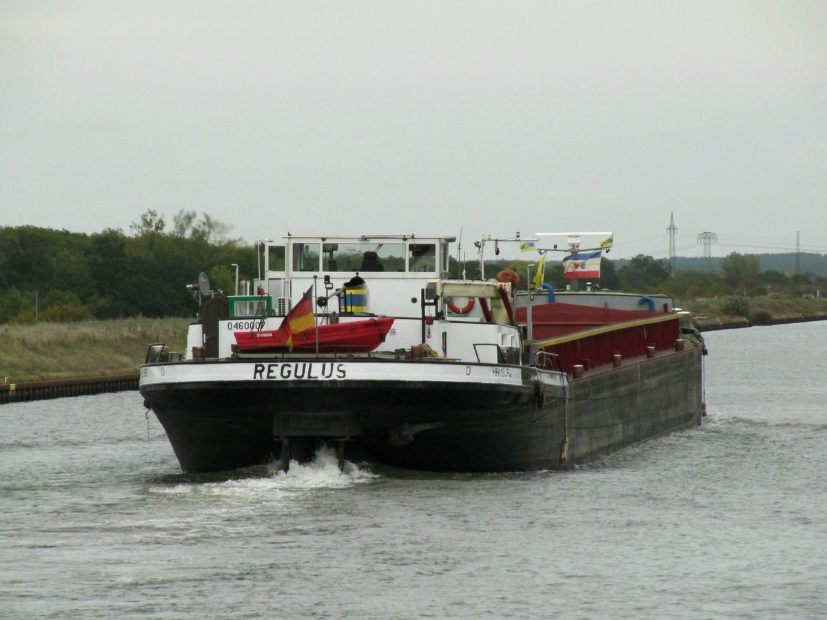 GMS Regulus (04600070 , 80 x 9,5m) am 09.10.2019 im Mittellandkanal Höhe Wolmirstedt auf Bergfahrt.