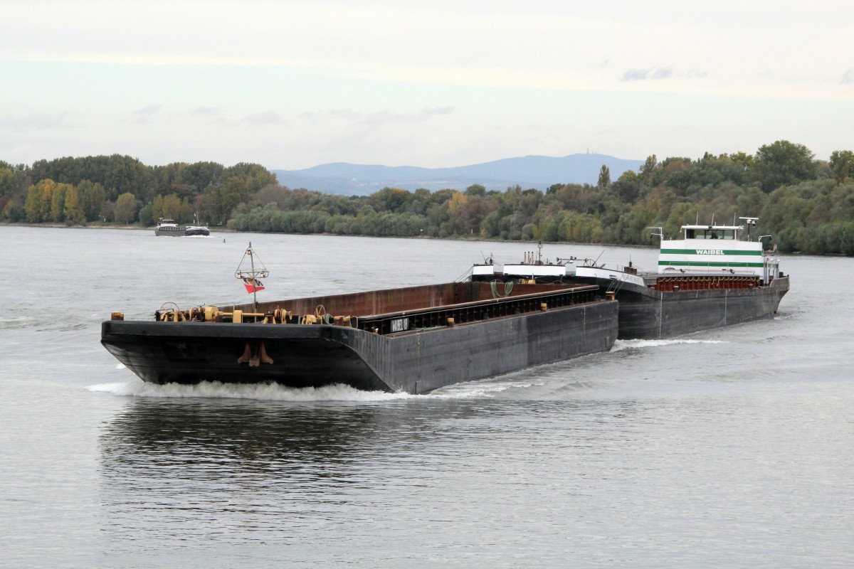 GMS Reinhard Waibel sen. (04606950 , 105 x 11,40m) schob am 20.10.2014 GSL Waibel 18 (04605670 , 76,50 x 11,40m) bei Rhein-km 486 zu Berg.