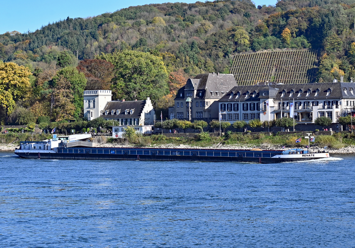 GMS RENATE vor der Rheinuferkulisse von Unkel - 24.10.2021