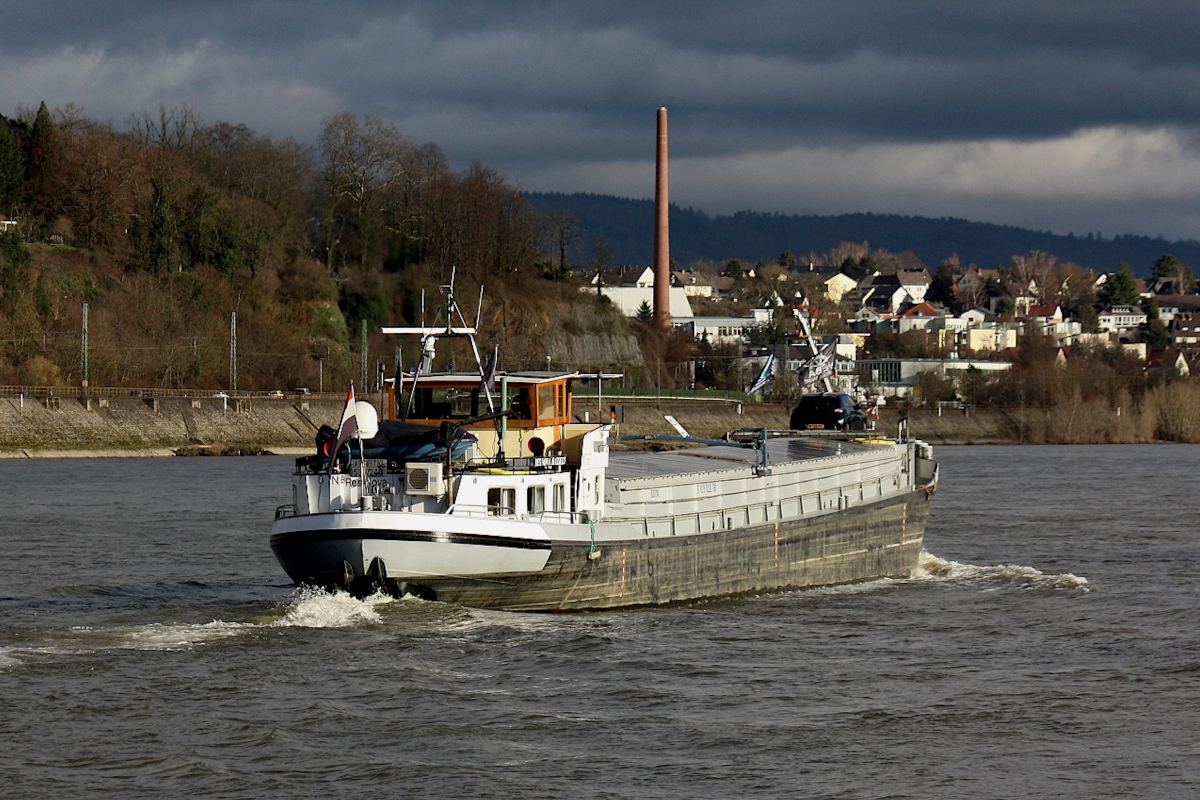 GMS RES NOVA (ENI:05307240) L.57 m B.7,15 T.681 Baujahr 1961 Flagge Niederlande auf dem Rhein zu Berg am 06.01.2023 in Andernach.