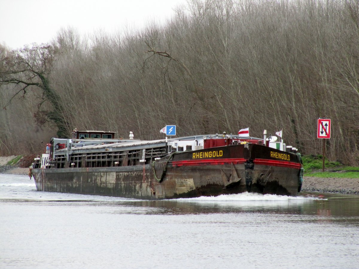 GMS Rheingold (04007120 , 79,95 x 8,18m) am 14.12.2017 im Sacrow-Paretzer-Kanal zw. Marquardt und Schlänitzsee auf Talfahrt.