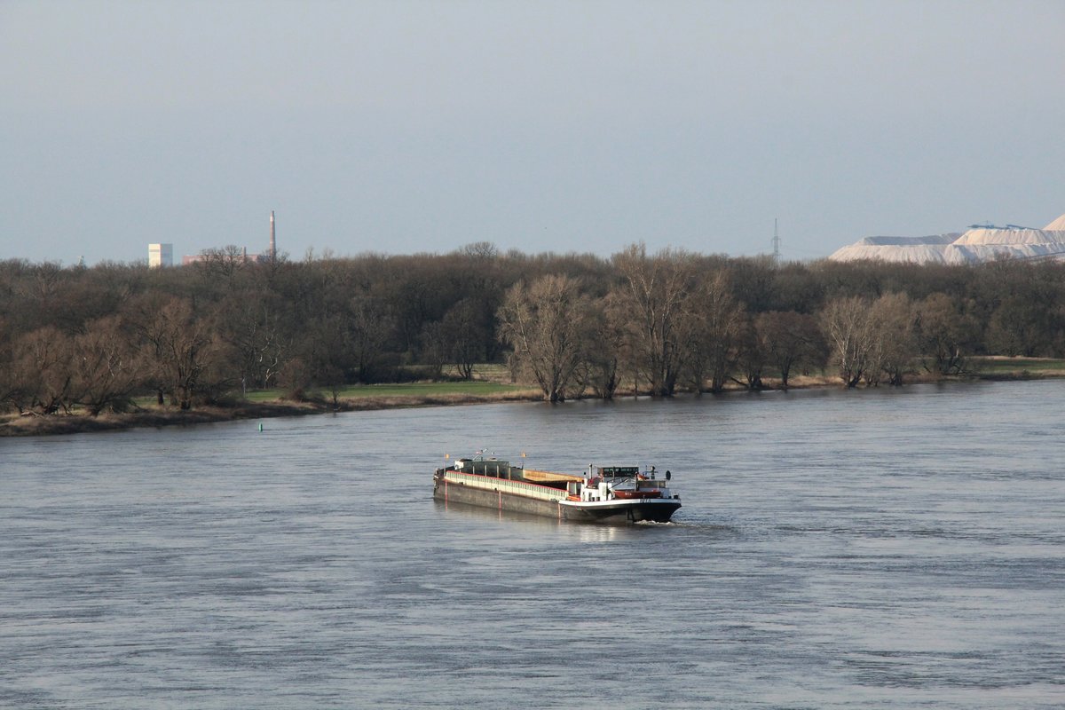 GMS Rita (04017260 , 76 x 9m) am 18.03.2020 auf der Elbe bei Glindenberg zu Tal. Suchte eventuell einen Ankerplatz ?