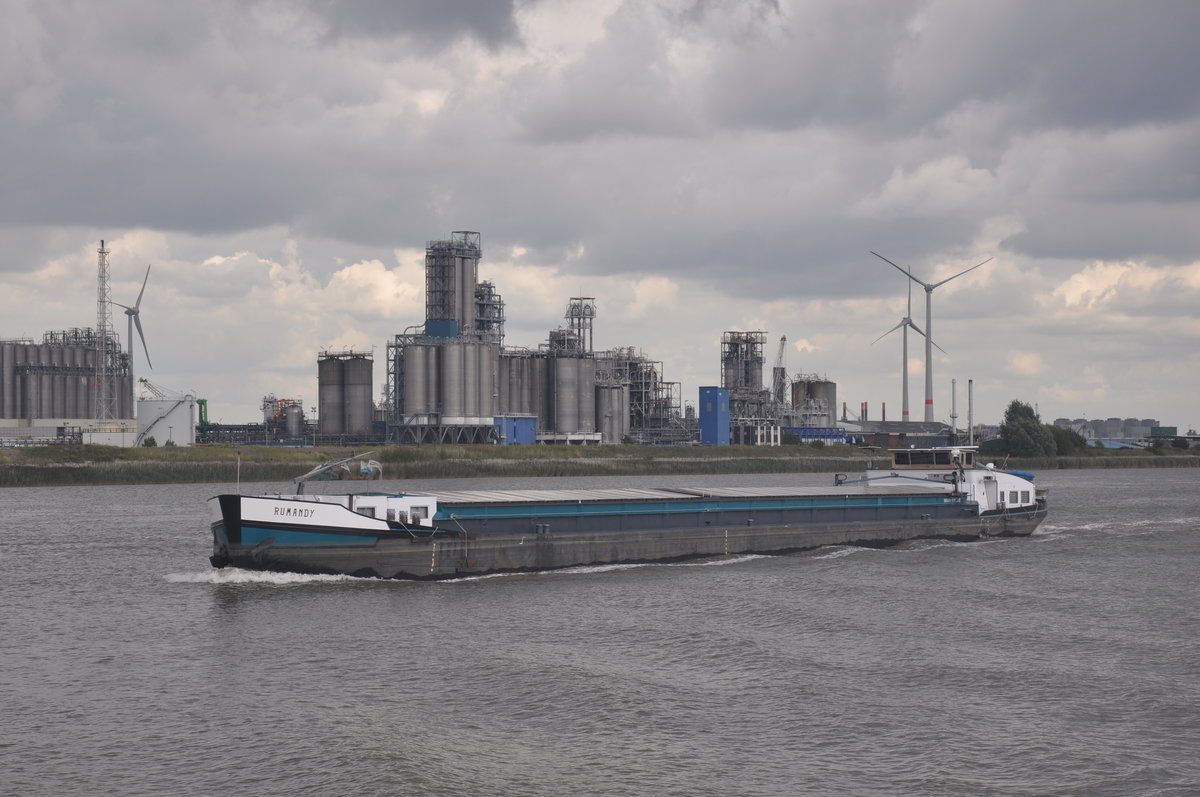 GMS Rumandy aufgenommen 20.08.2017 am Schelde in Antwerpen