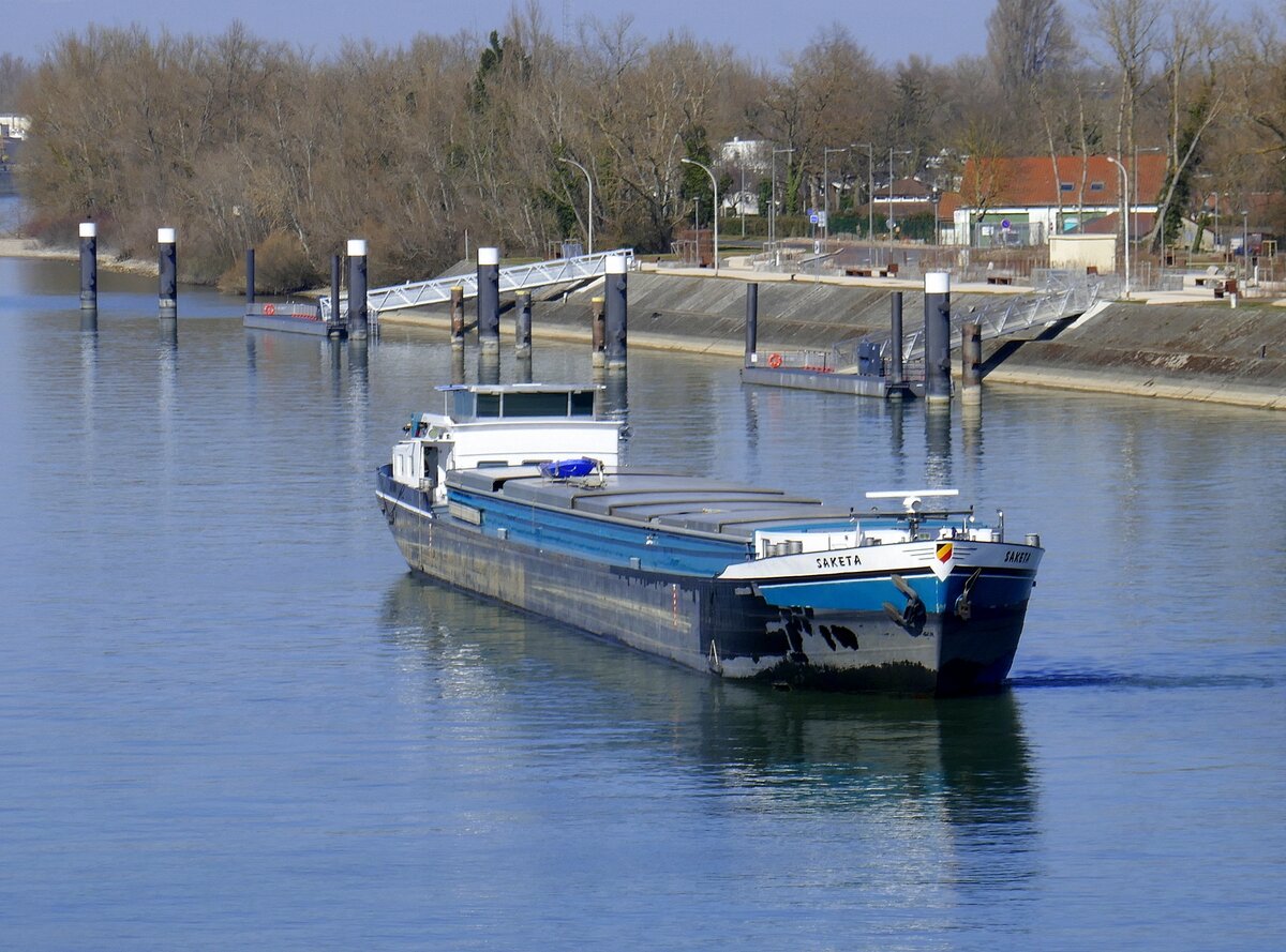 GMS Saketa, rheinaufwärts, in Warteposition vor der Schleuse Vogelgrün/Elsaß, L=80m, Tonnage 1258t, 730PS, Baujahr 1966, gemeldet in Balen/Belgien, März 2025