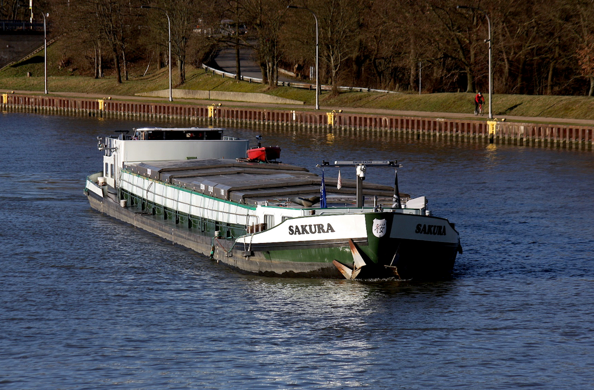 GMS SAKURA /ENI:02323840) L.73 m B.8,21 m T 1052 Flagge Niederlande auf dem WDK am 18.01.2024 an der Schleuse Datteln.