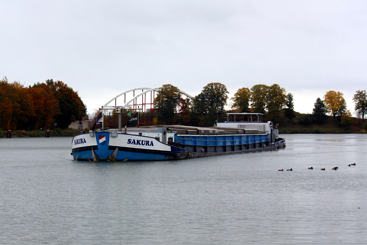 GMS SAKURA (ENI:02323840) L.73m B.8,21m T 1052 Baujahr 1965 auf dem DEK am 24.10.2020 in Datteln.