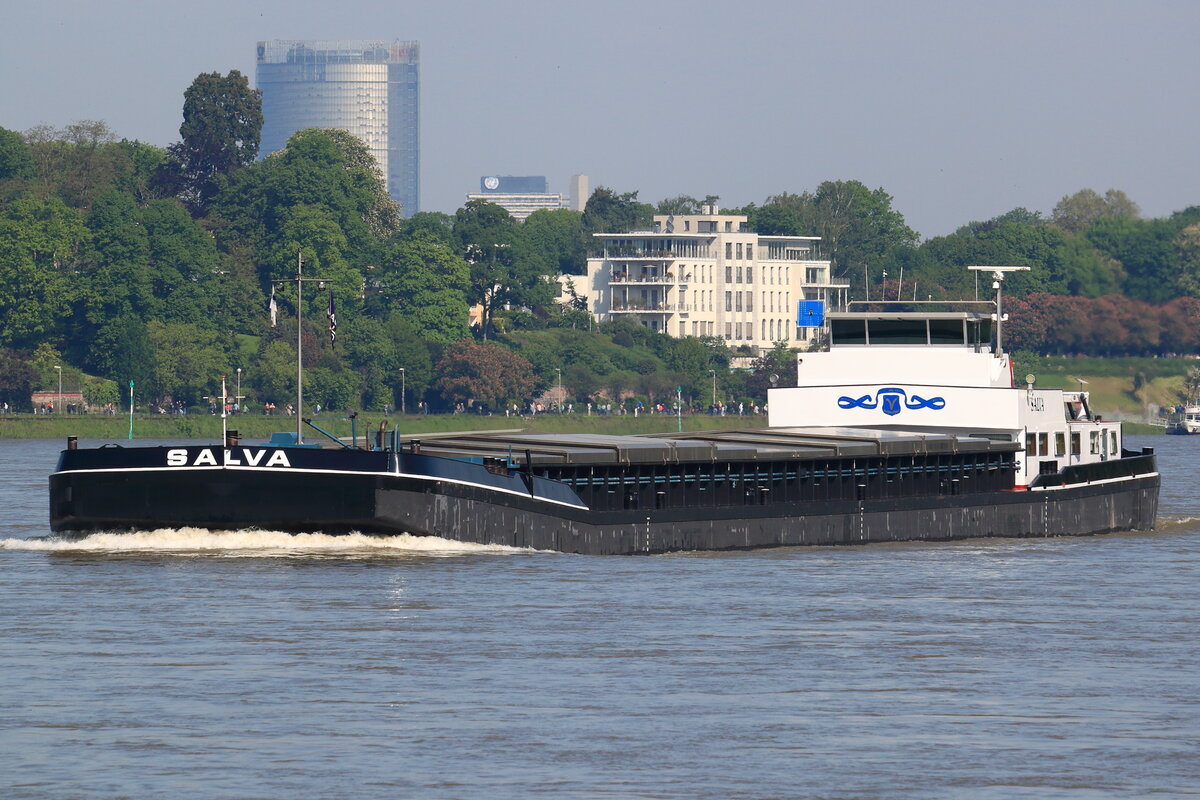 GMS SALVA, Eni: 02313808, gemeldet in Zwijndrecht/NL, am 14.05.2023 auf dem Rhein bei Königswinter.