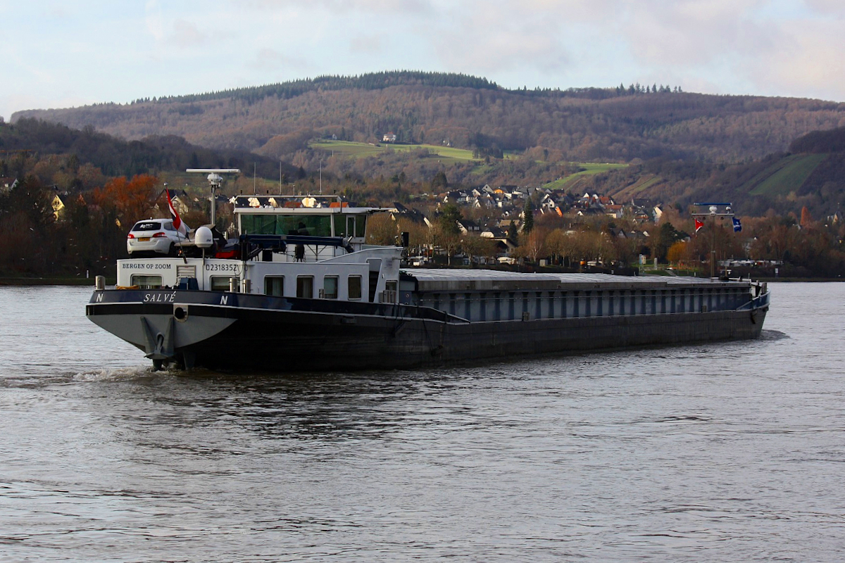 GMS SALVE (ENI:02318352) L.84,47 m B.9,50 m T.1704 Flagge Niederlande auf dem Rhein zu Tal am 27.12.2022 bei Braubach.