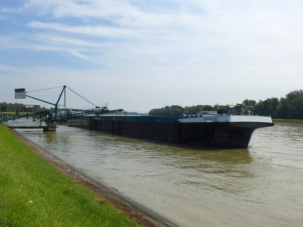 GMS  Samary , wird mit Kies beladen, bei Rheinau(Rhinau) am Rheinseitenkanal, Aug.2014