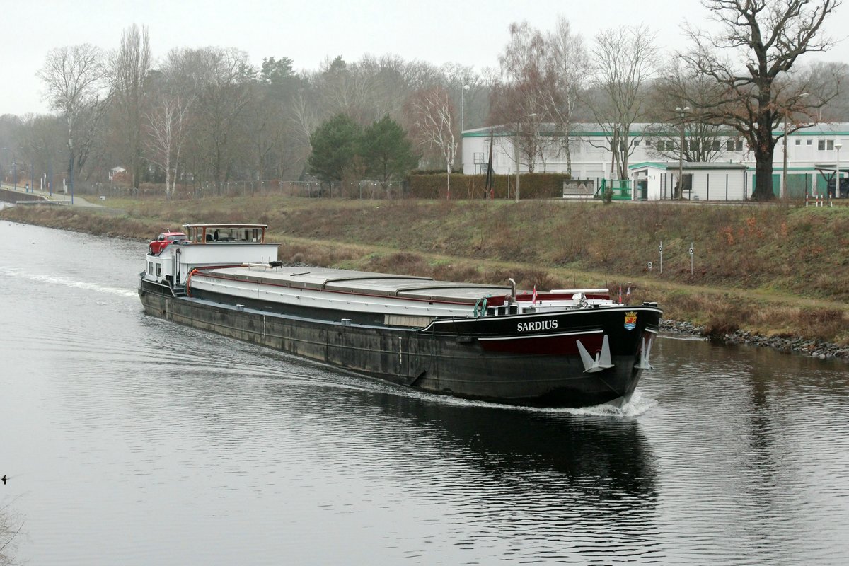 GMS  SARDIUS  (03150440 , 65 x 7,36m) am 09.01.2021 im  SACROW-PARETZER-KANAL / UHW vor der Nedlitzer Südbrücke auf Bergfahrt.