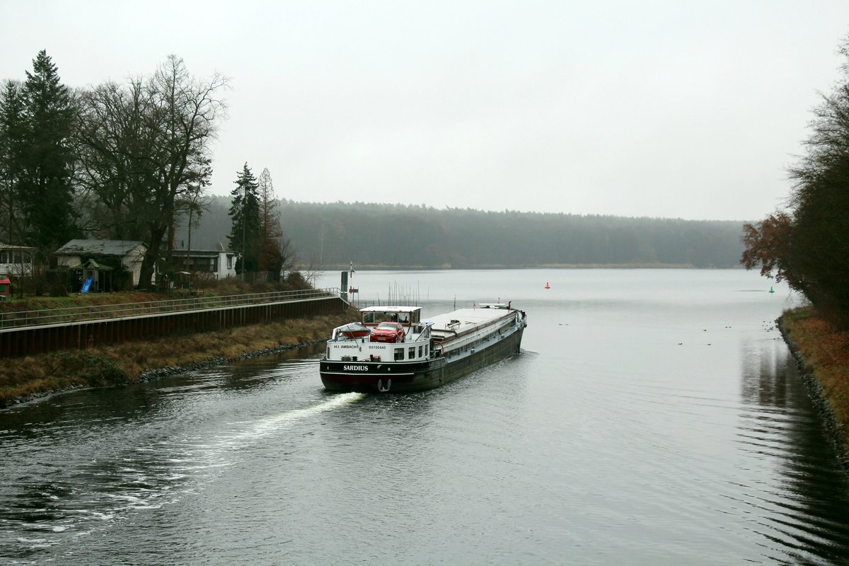 GMS  SARDIUS  (03150440 , 65 x 7,36m) am 09.01.2021 im  SACROW-PARETZER-KANAL / UHW Höhe Großes Horn / Nedlitz auf Bergfahrt.