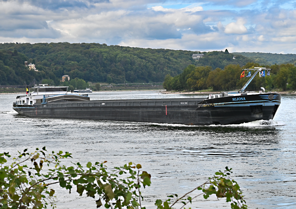 GMS SEJONA auf dem Rhein in Remagen - 19.09.2021