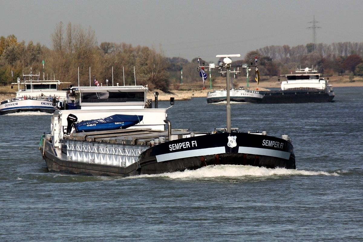 GMS Semper FI Europa Nr.:03110579 am 13.10.2018 bei Xanten.