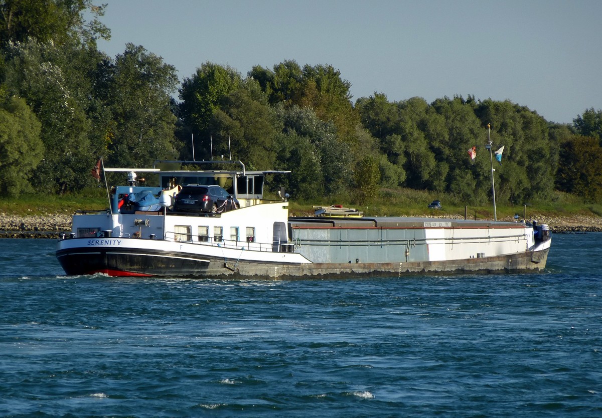 GMS  Serenity , Frankreich, Baujahr 1963, Tonnage 785t, L=63m, bei Plitterdorf rheinabwrts, Sept.2015