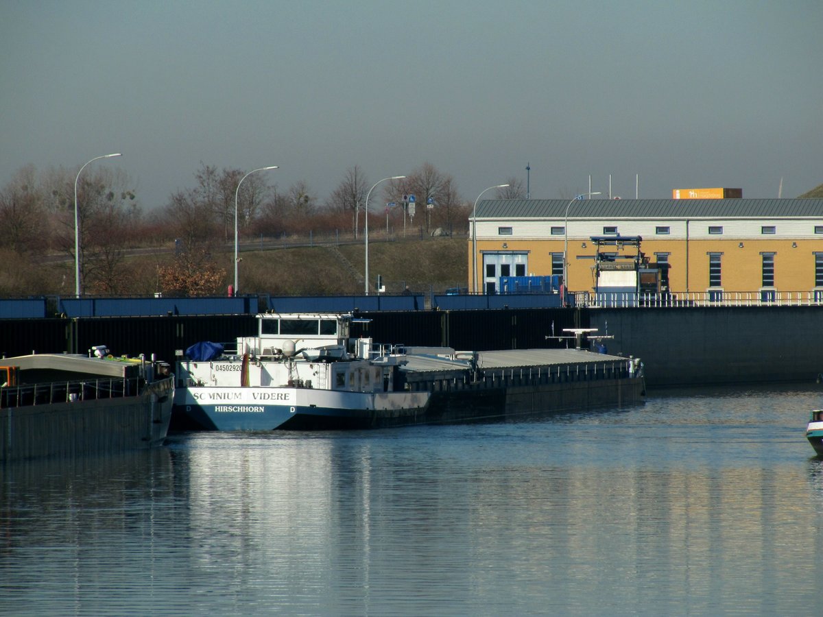 GMS Somnium Videre (04502920 , 105 x 11m) am 27.02.2019 im Unterwasser der Schleuse Rothensee auf die Bergschleusung zum Mittellandkanal wartend.