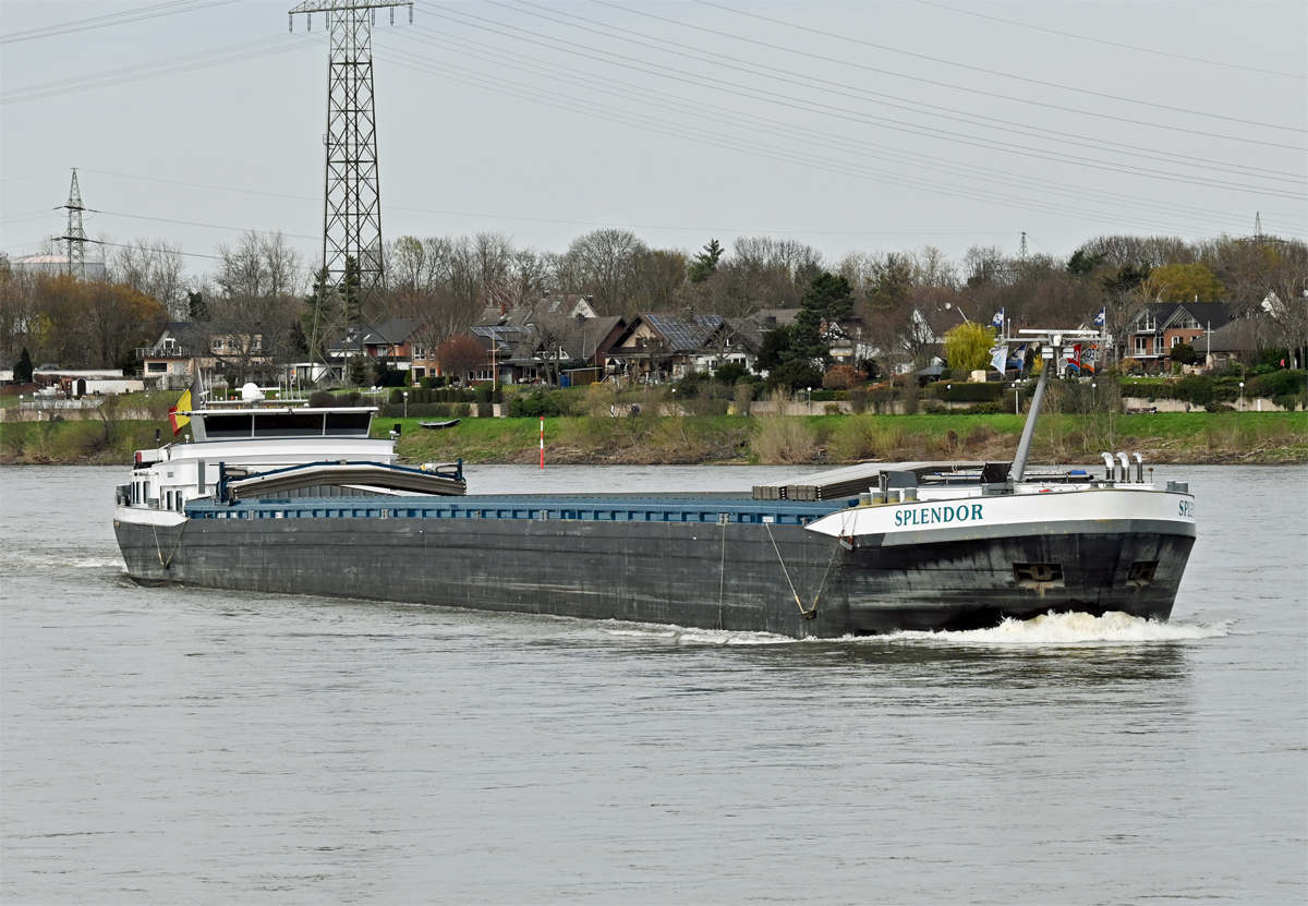 GMS SPLENDOR auf dem Rhein in Wesseling - 28.03.2023