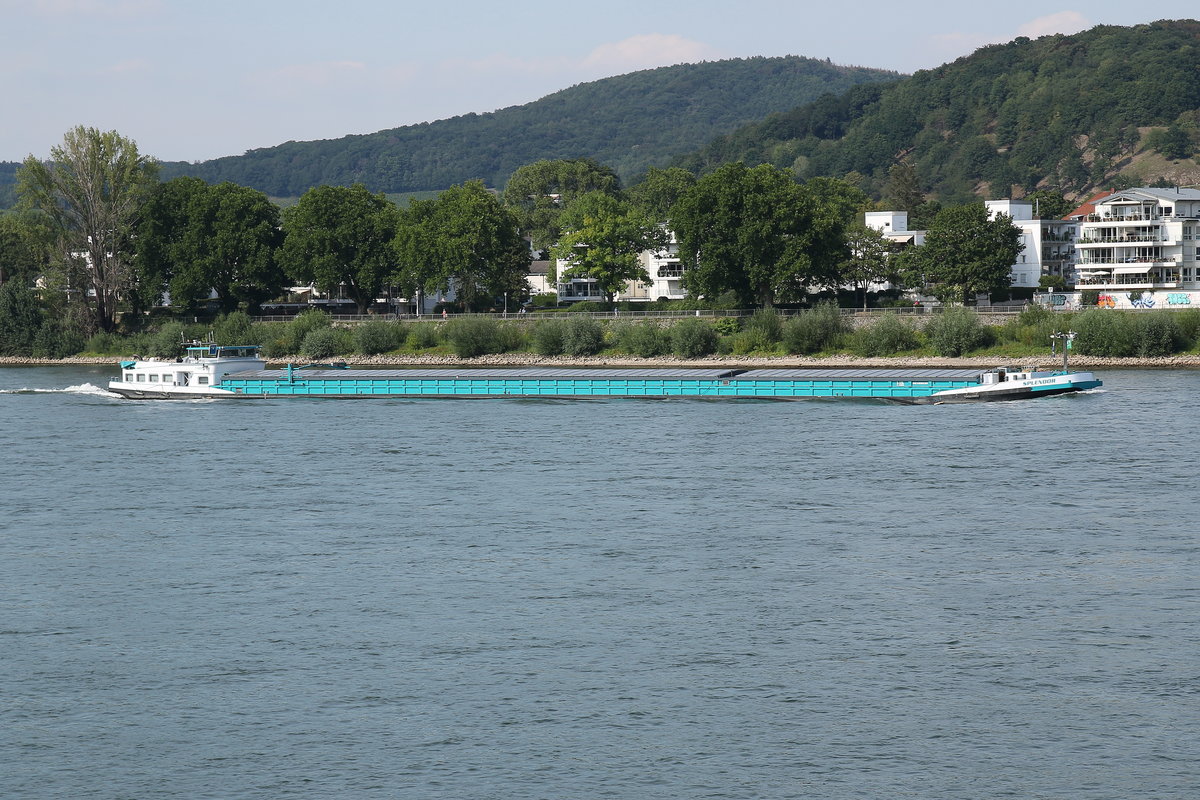 GMS SPLENDOR, ENI 02328238, Sliedrecht/NL. Auf Bergfahrt auf dem Rhein bei Königswinter am 22.07.2020.