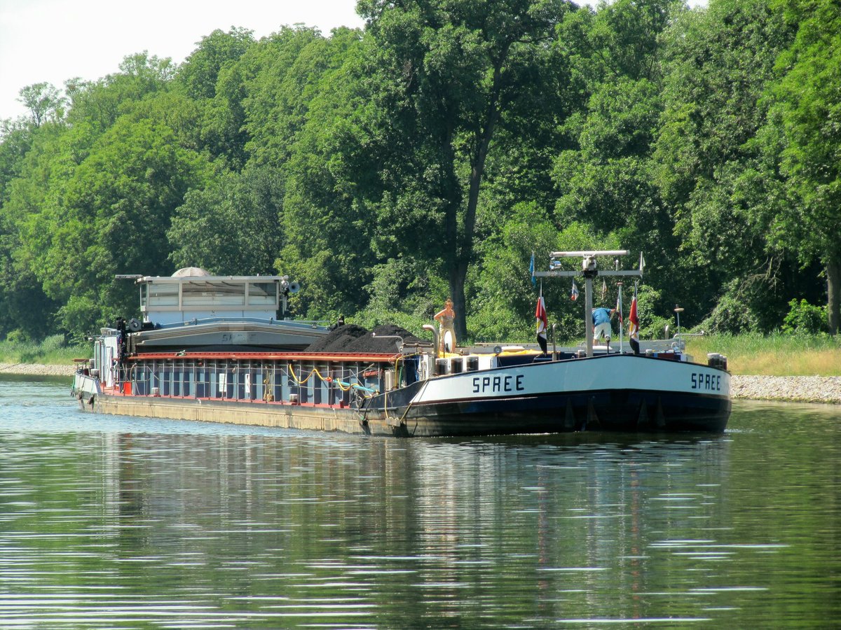 GMS Spree (05110500 , 85 x 9,57m) am 24.06.2016 im Sacrow-Paretzer-Kanal bei km 30 zu Berg Richtung Berlin.