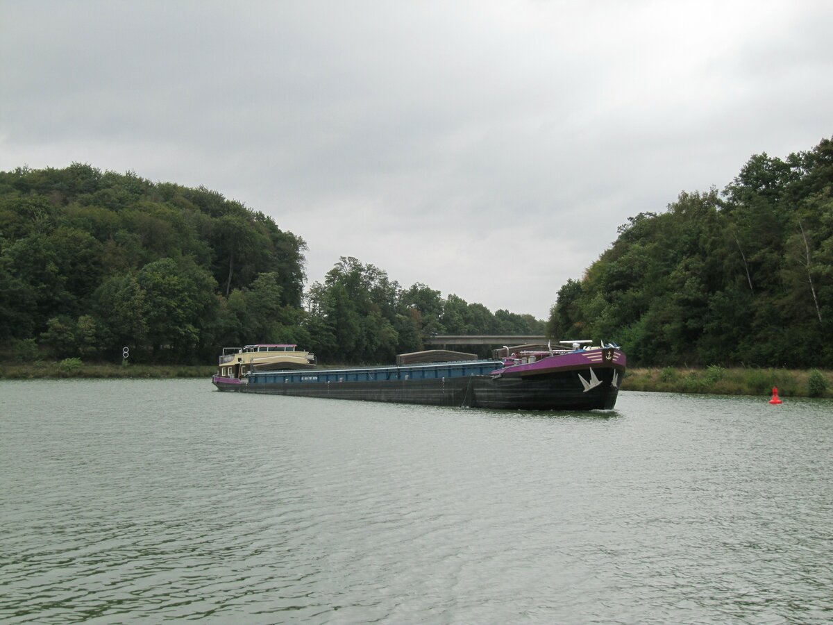 GMS  STEFANUS  (02317544 , 85 x 8,20m) bog am 26.09.2022 im Nassen Dreieck , vom  MITTELLANDKANAL zu Tal kommend , nach Backbord in den  DORTMUND-EMS-KANAL  zu Berg ein.