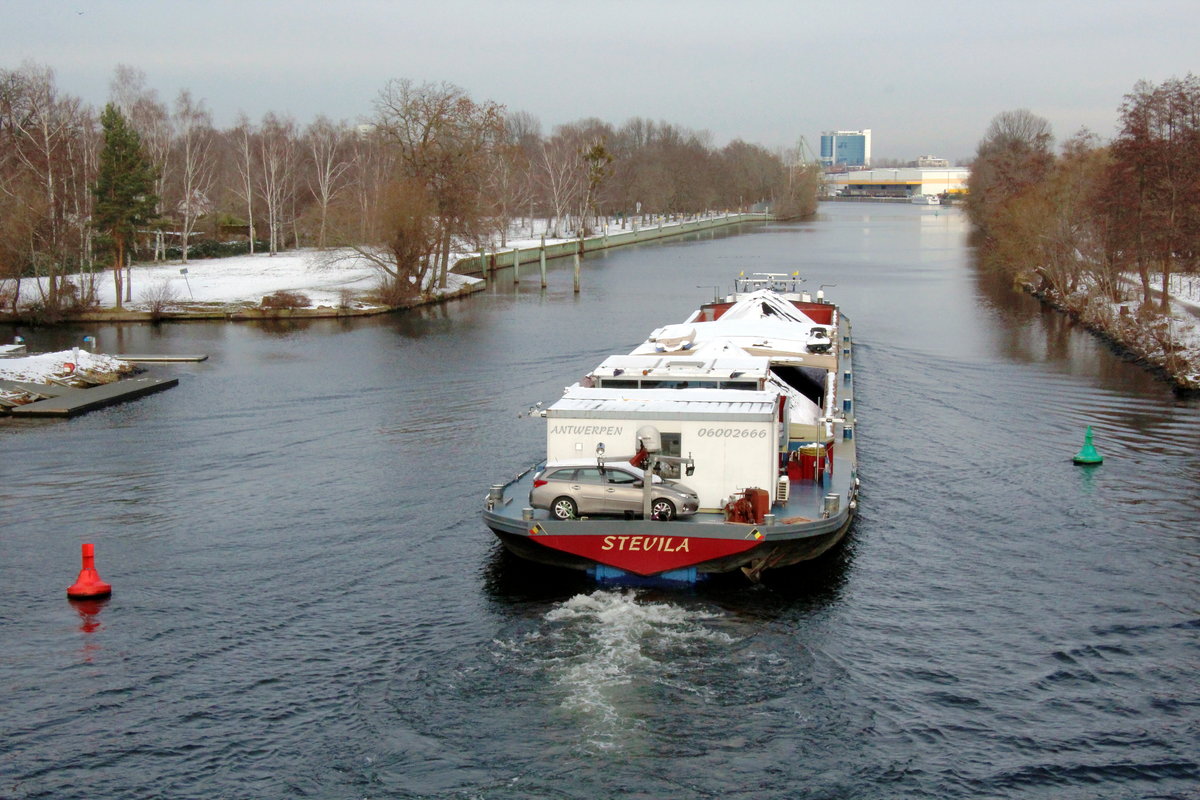 GMS  STEVILA  (06002666 , 95 x 11m) am 01.02.2021 auf der  HAVEL  oberhalb der Freybrücke in Berlin-Spandau zu Berg zum Kraftwerk Reuter an der Spree.