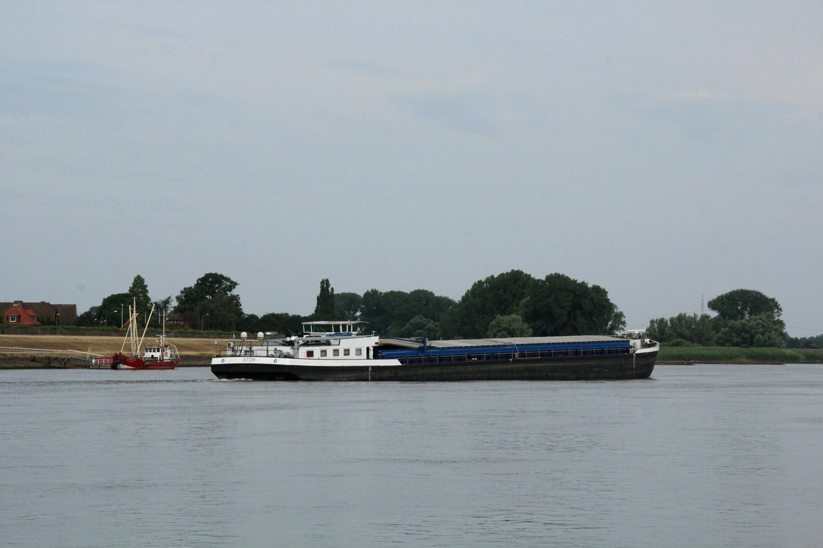 GMS Stör (02324221 , 85 x 11,45m) am 20.07.2019 auf der Elbe vor Fliegenberg zu Tal.