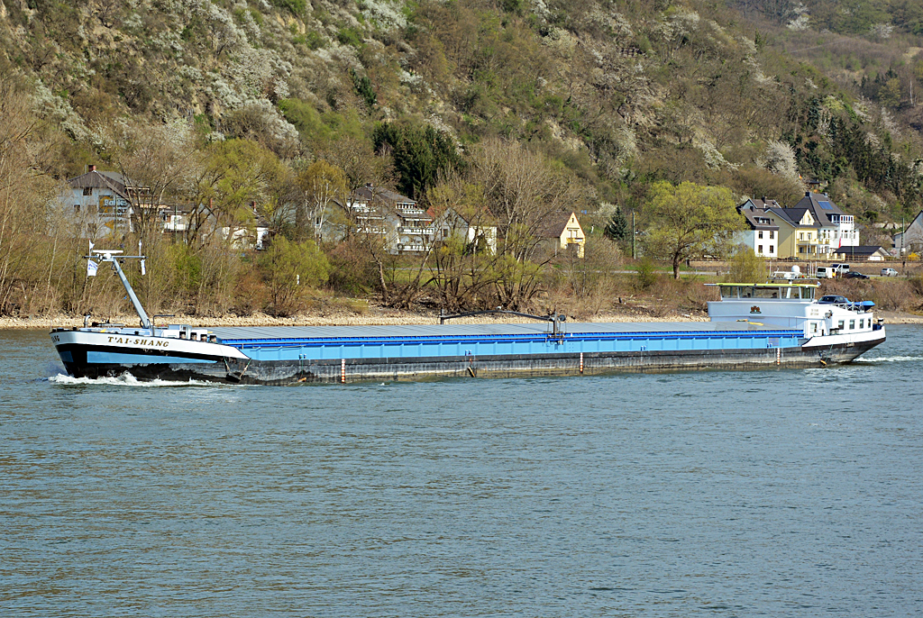 GMS  T'AI-SHANG  auf dem Rhein bei Remagen - 28.03.2014