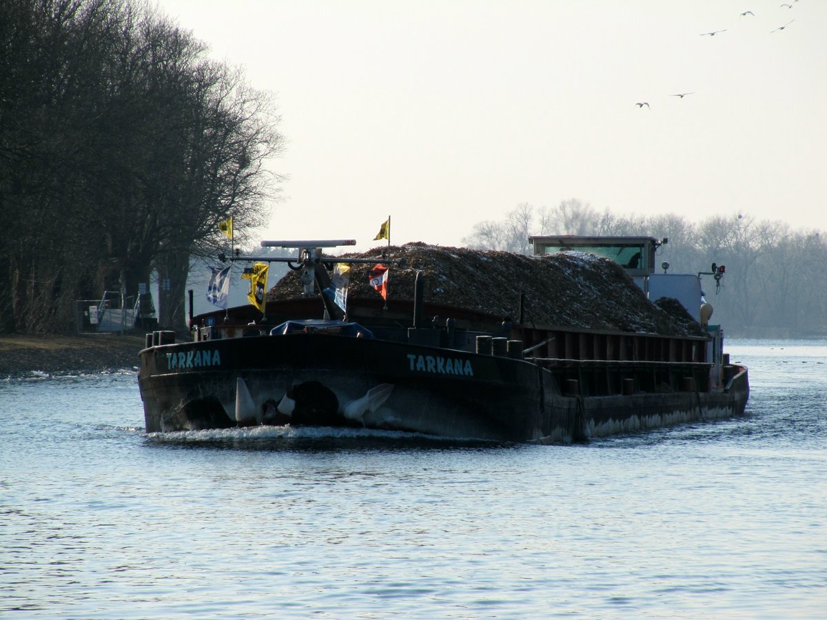 GMS Tarkana (04024150 , 80 x 8,20m) mit einer Ladung Holzresten / Hackschnitzeln am 28.02.2018 im Sacrow-Paretzer-Kanal / UHW Höhe Schlänitzsee auf Bergfahrt zum Teltowkanal in Berlin-Rudow.