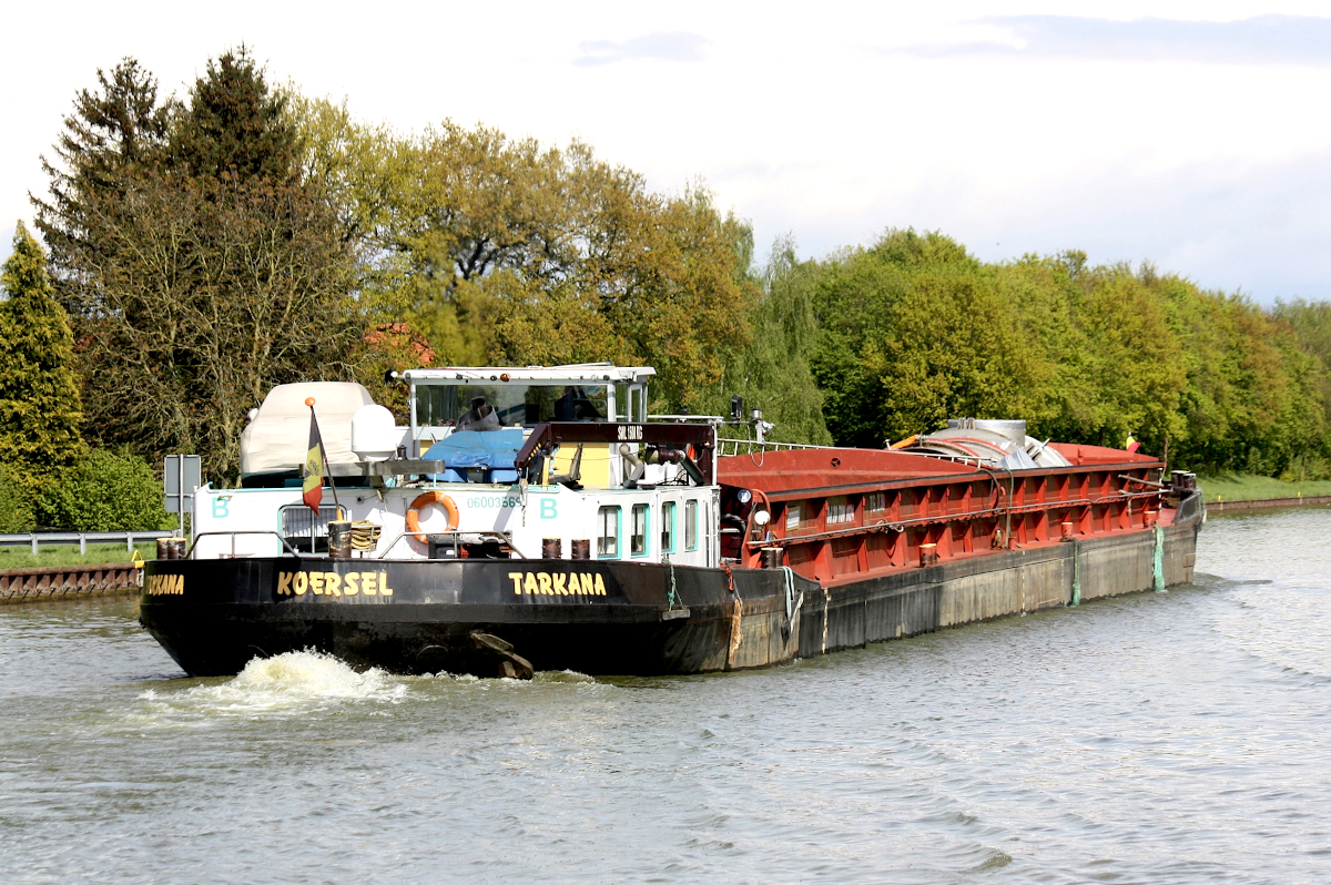 GMS TARKANA (ENI:06003569) L.80 m B.8,20 m T 1024 Flagge Belgien auf dem MLK zu Tal am 18.04.2024 bei Bad Essen. 