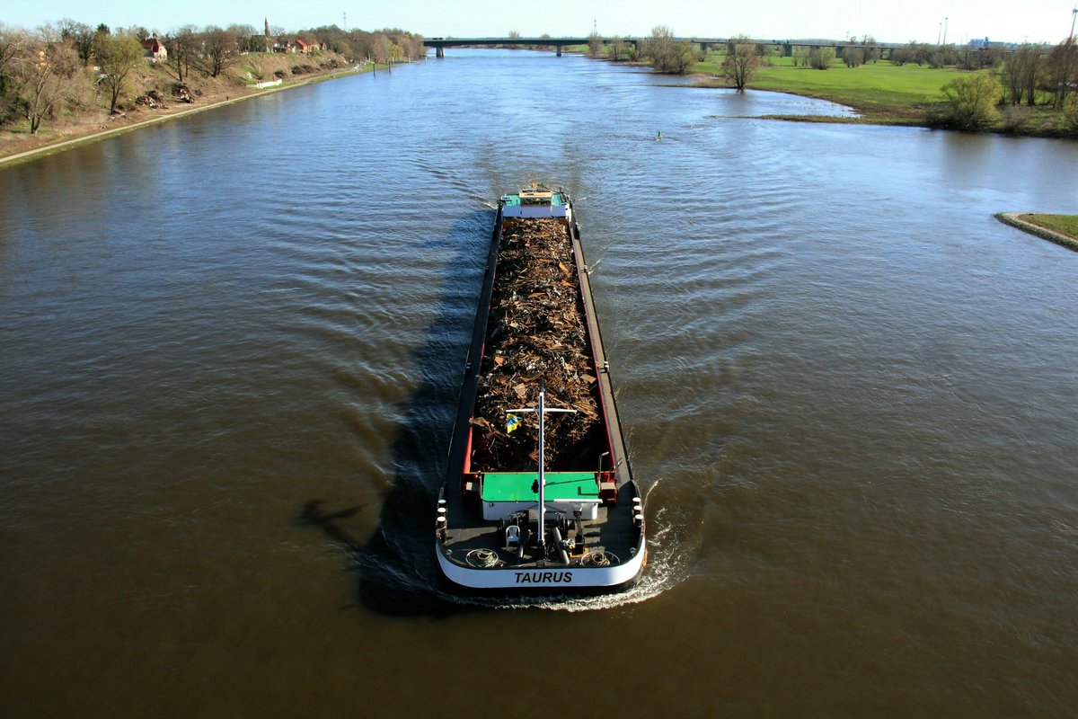 GMS Taurus (02323446 , 79,95 x 9m) am 01.04.2019 auf Elbe-Talfahrt bei Hohenwarthe.